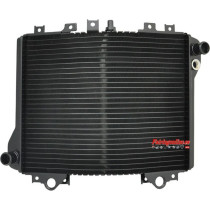 ZX11 / ZX1100D 93-01