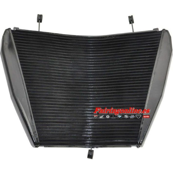 CBR1000RR 08-11