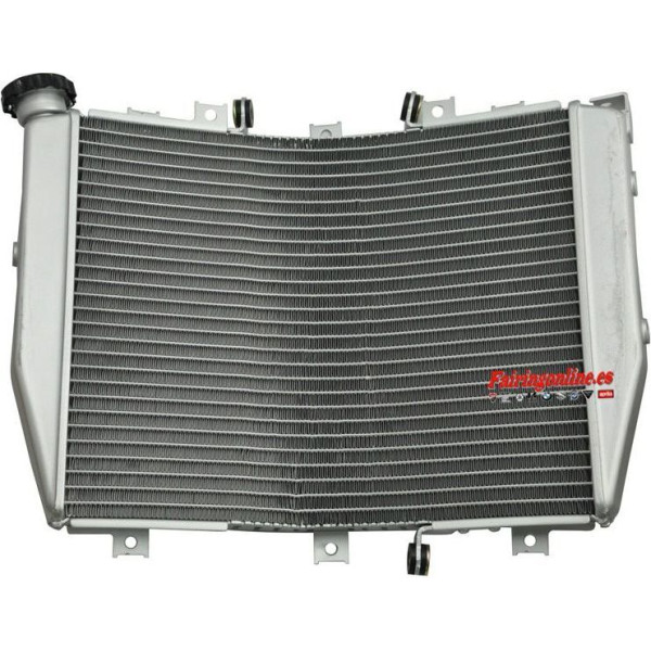 ZX10R 04-05