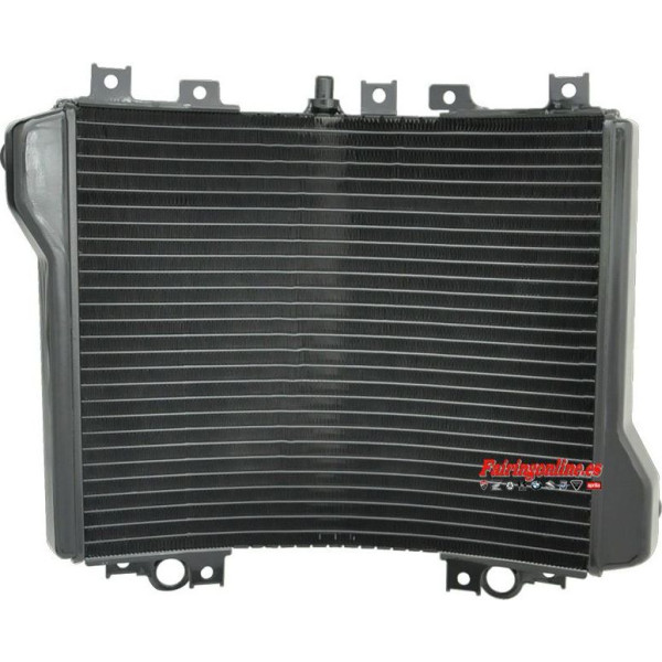 ZX11 / ZX1100D 93-01