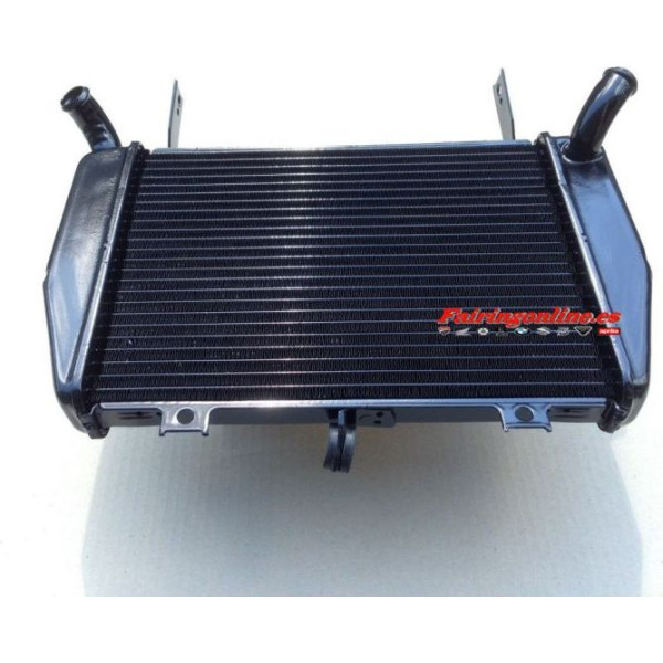 TL1000R 98-03