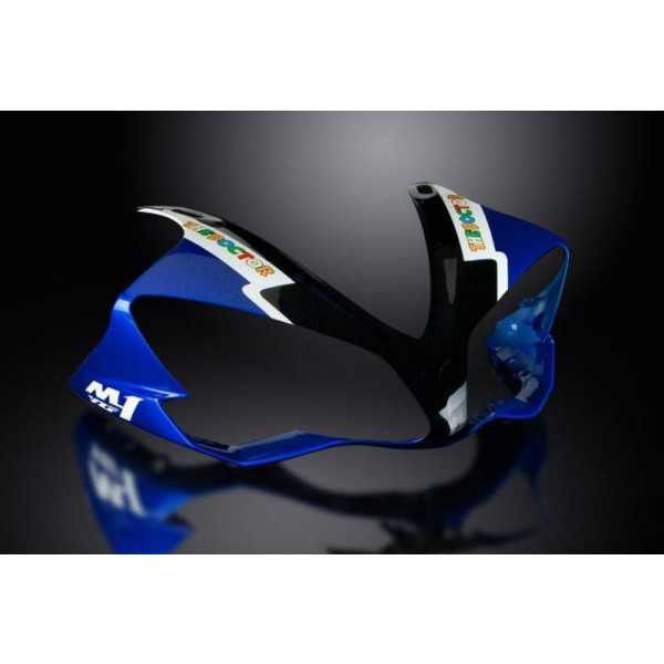 R1 R6 PINTADO cualquier diseño y año