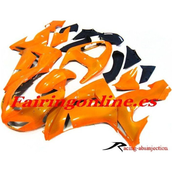 ZX10R 06-07