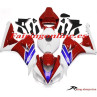 1000RR 06-07